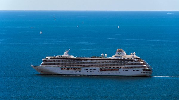 Peut-on organiser une croisière qui offre des excursions pour observer les lions de mer en Amérique du Sud?